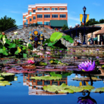 Downtown Frederick