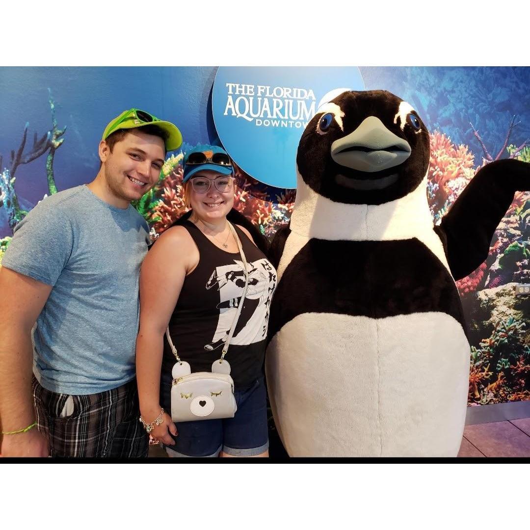 With our love of beaches comes our love for aquariums! This was at the Florida Aquarium in Tampa Florida in 2019