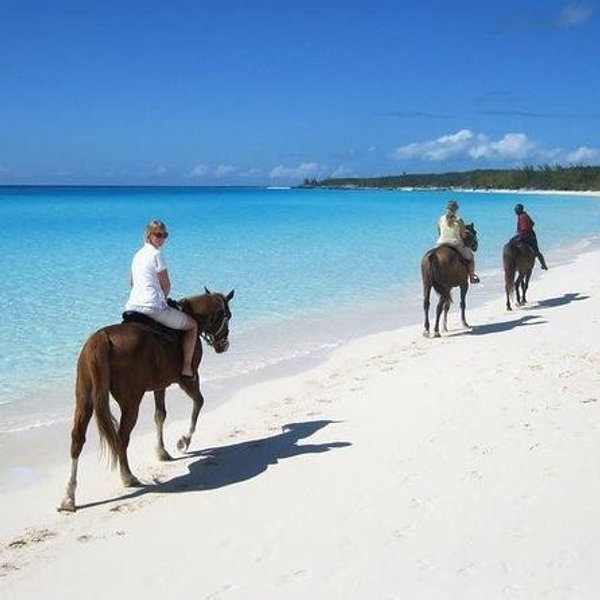 Excursión de caballo por la playa
