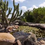 Charco del Ingenio  (Sightseeing)
