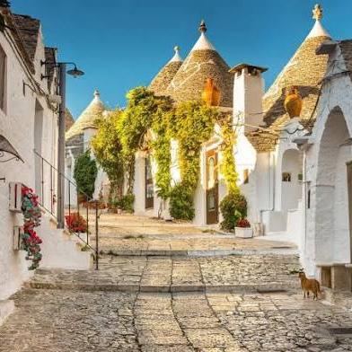 Alberobello is a small, charming town located a short drive from Fasano, known for its iconic trulli traditional stone dwellings with conical roofs that line its winding streets.