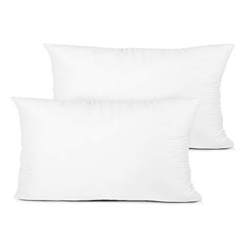 EDOW Throw Pillow Insert, Set of 2 Down Alternative Polyester Decorative Pillow, Cushion,Sham Stuffer. (White, 12x20)
