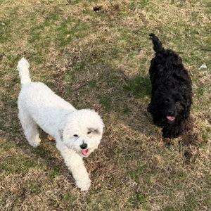 Conkapoo Fund