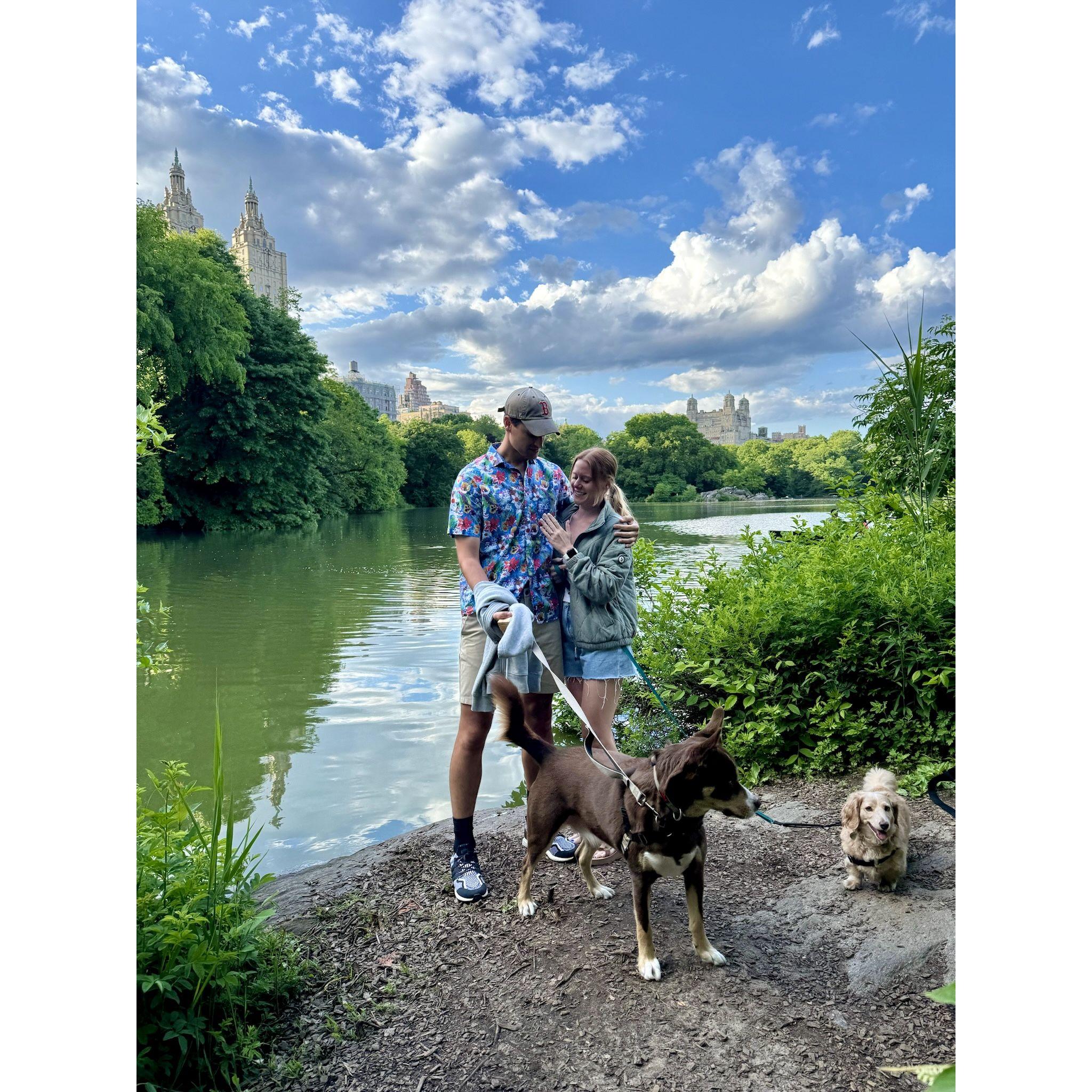 Engaged in Central Park!