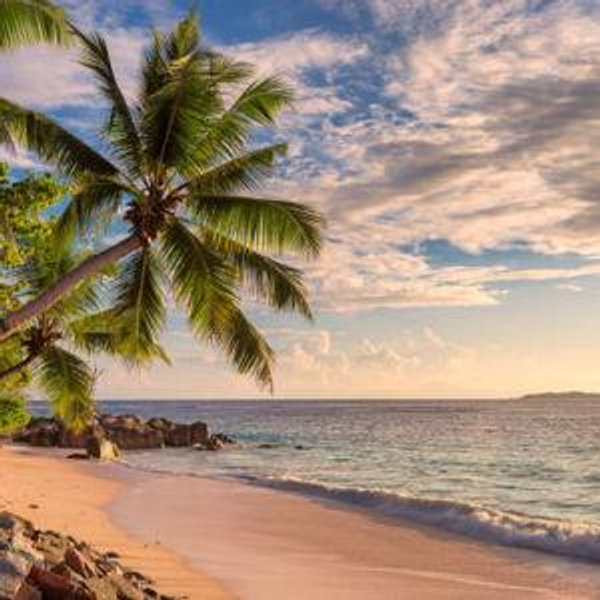 Our Honeymoon Fund- to HAWAII!