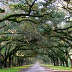 Wormsloe State Historic Site