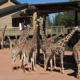 Cheyenne Mountain Zoo