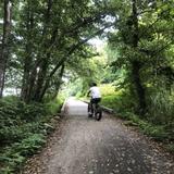 Kranky's Cycles- Henry Hudson Trail
