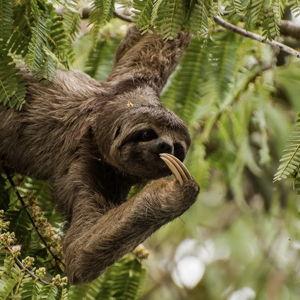 Amazon Adventure Fund