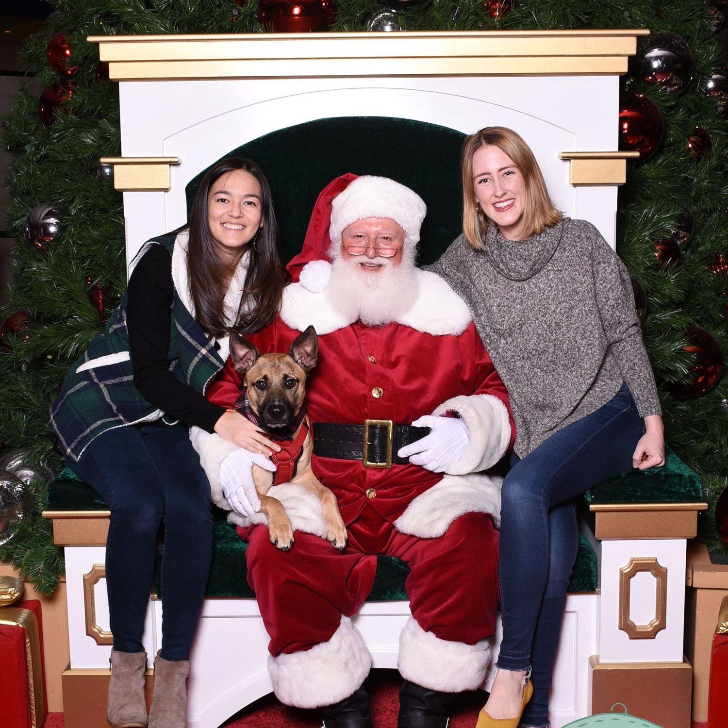 an NC Christmas