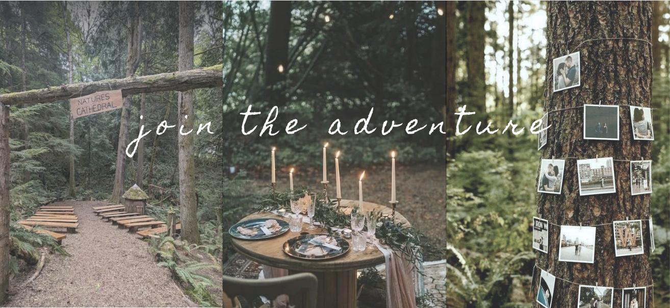 The Wedding Website of Arielle McCarthy and Krzysztof Korniak