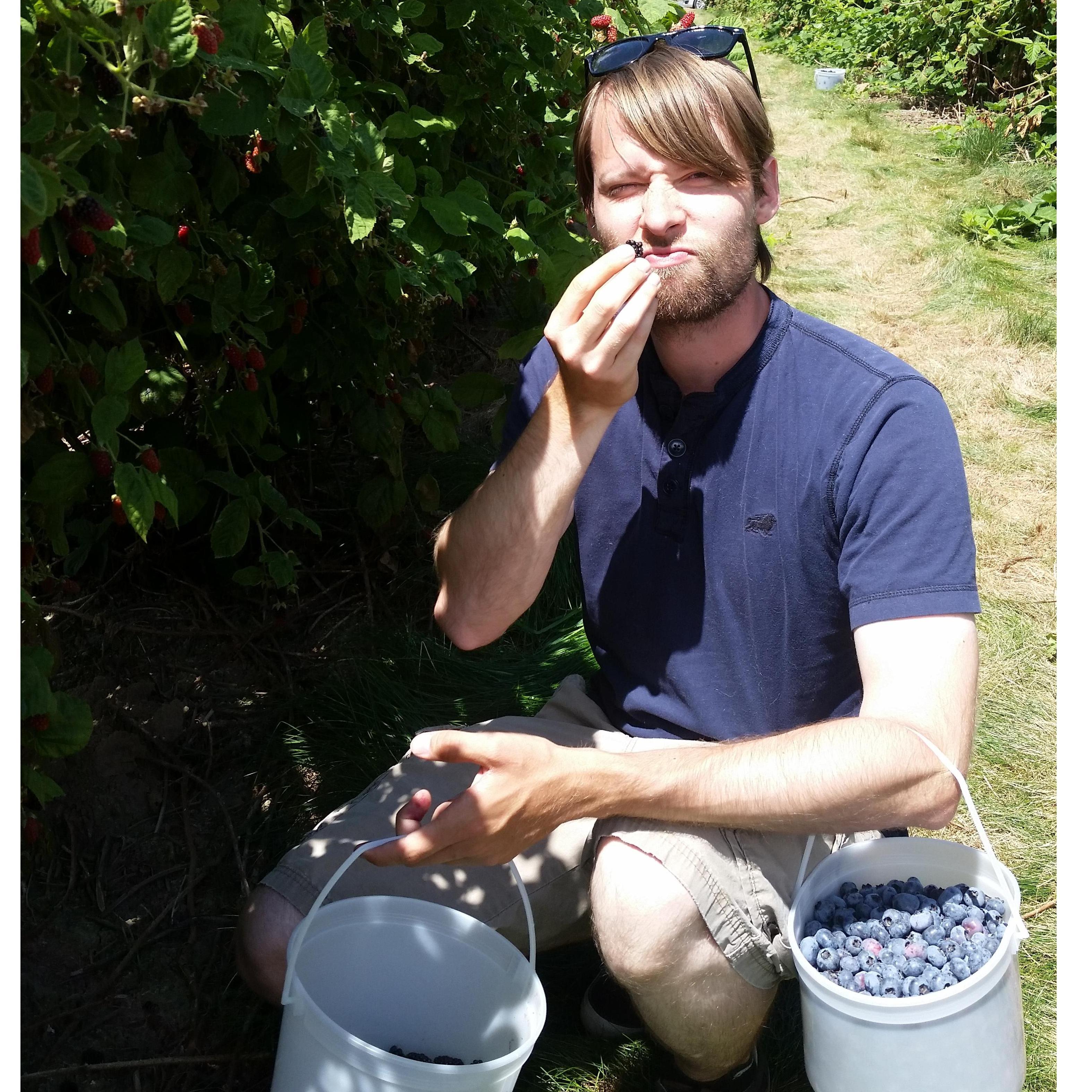 Love berry picking with a little competition. Budd always finds the biggest blueberry. Fracking always.