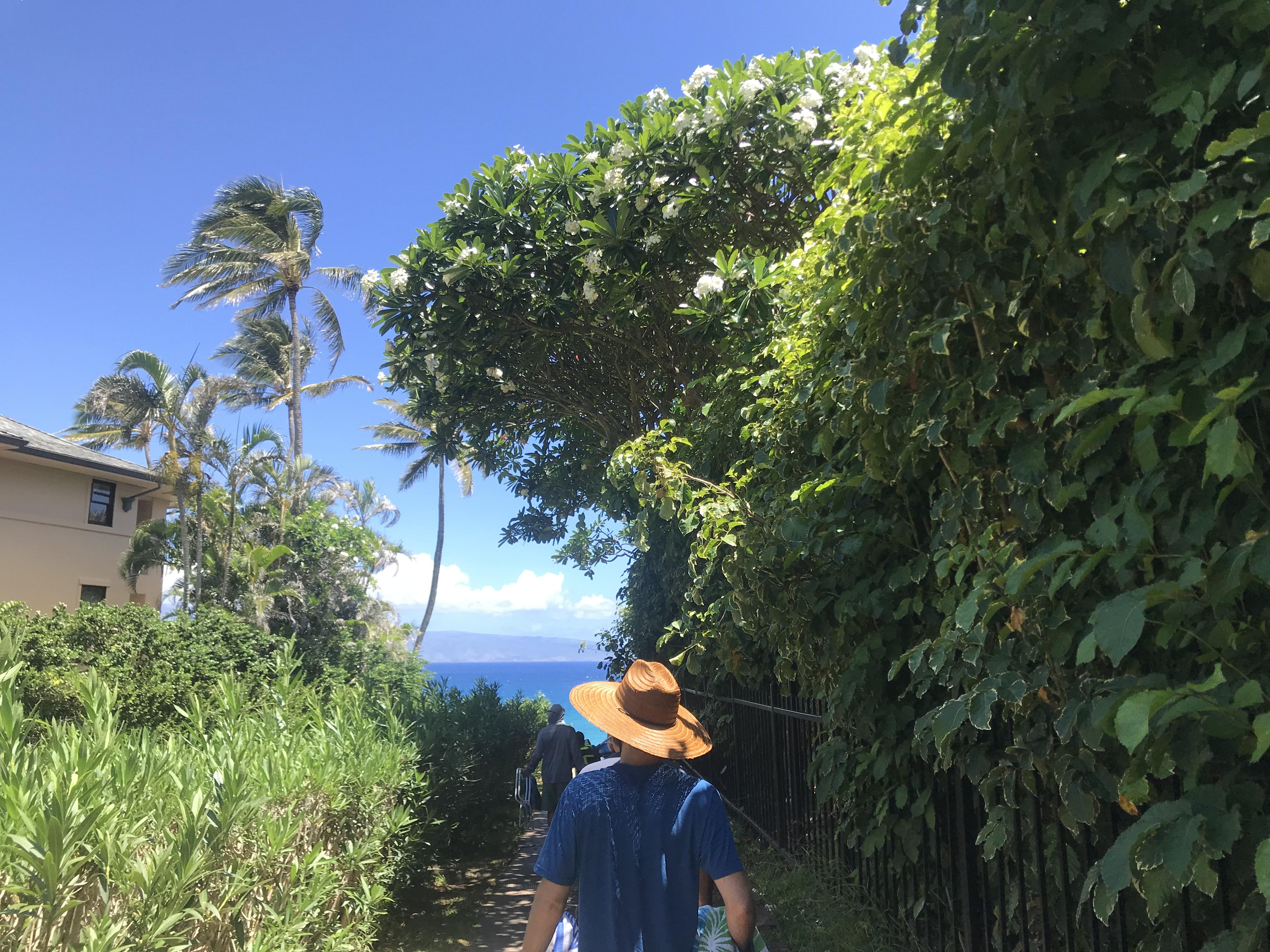 The Wedding Website of Michelle MacKnight and Kevin Sander