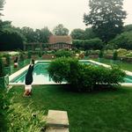 Planting Fields Arboretum