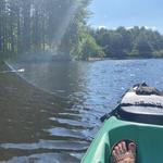 Go Kayaking and See Wildlife at Kenneth L. Wilson