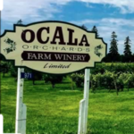 Ocala Winery Groups Inc.