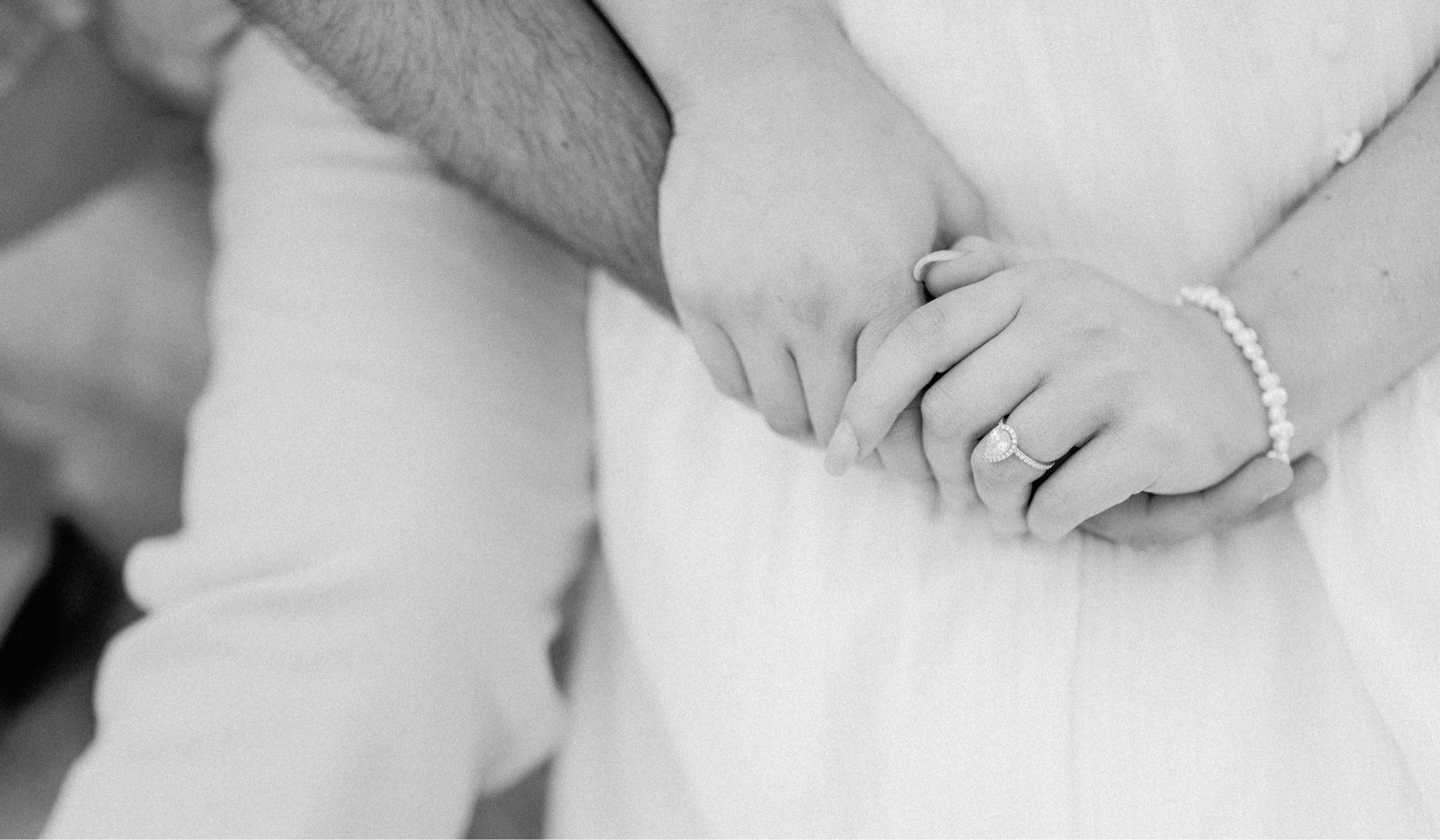 The Wedding Website of Danielle Troncale and David Chatkin