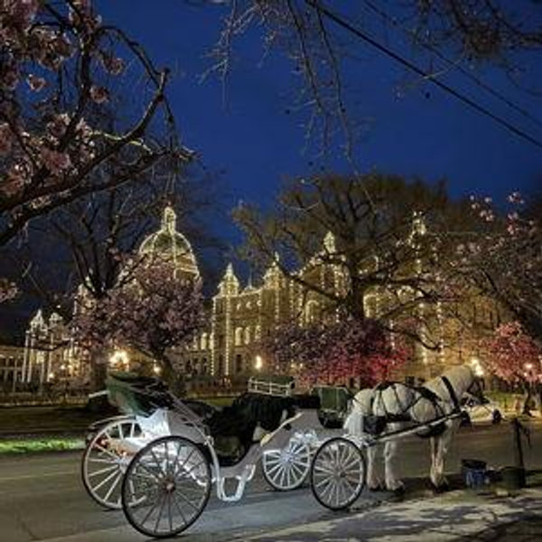 Honeymoon Excursion #3