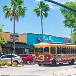 Downtown Dunedin
