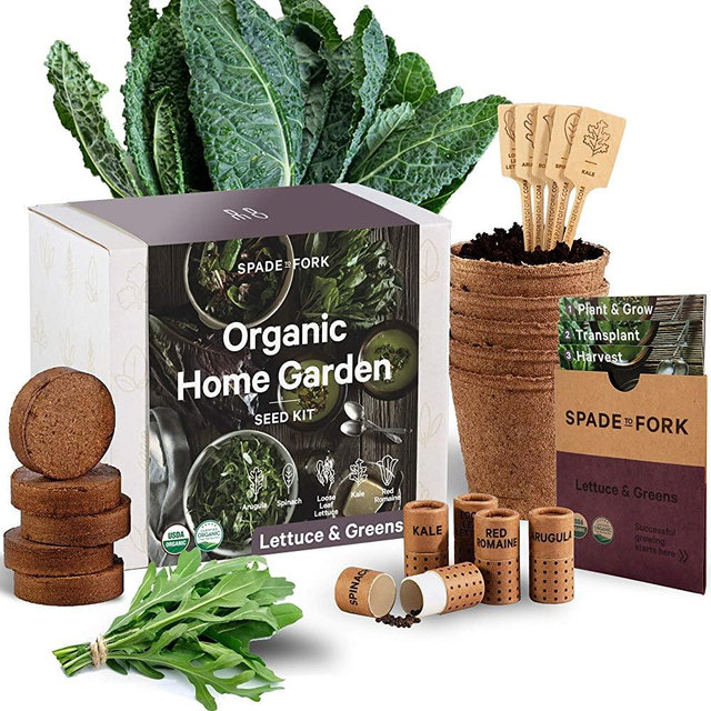Indoor Lettuce & Greens Garden Starter Kit - Certified USDA Organic Non GMO - 5 Seed Types Arugula, Spinach, Loose Leaf Lettuce, Kale, Red Romaine, Potting Soil, Peat Pots - DIY Kitchen Grow Kit