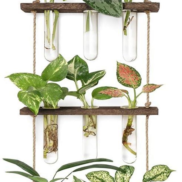 Mkono Plant Propagation Tubes, 3 Tiered Wall Hanging Terrarium with Wooden Stand Flower Vase Test Tube Glass Planter Stations for Hydroponic Cutting Home Garden Office Decor (Brown, Small)