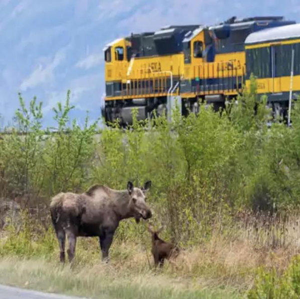 Coastal Classic Rail Trip