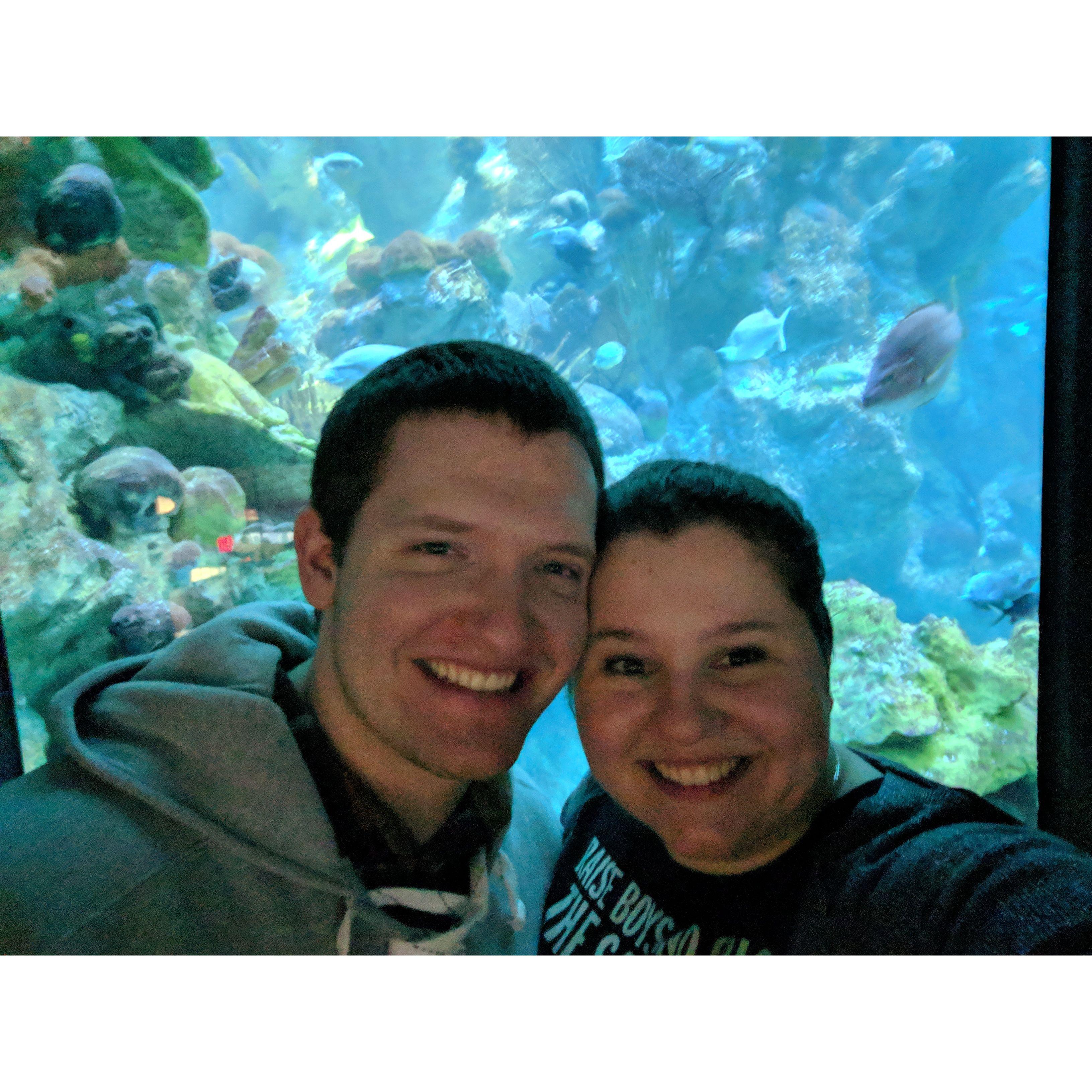At the aquarium during a trip to Boston for New Year's, in January 2019.