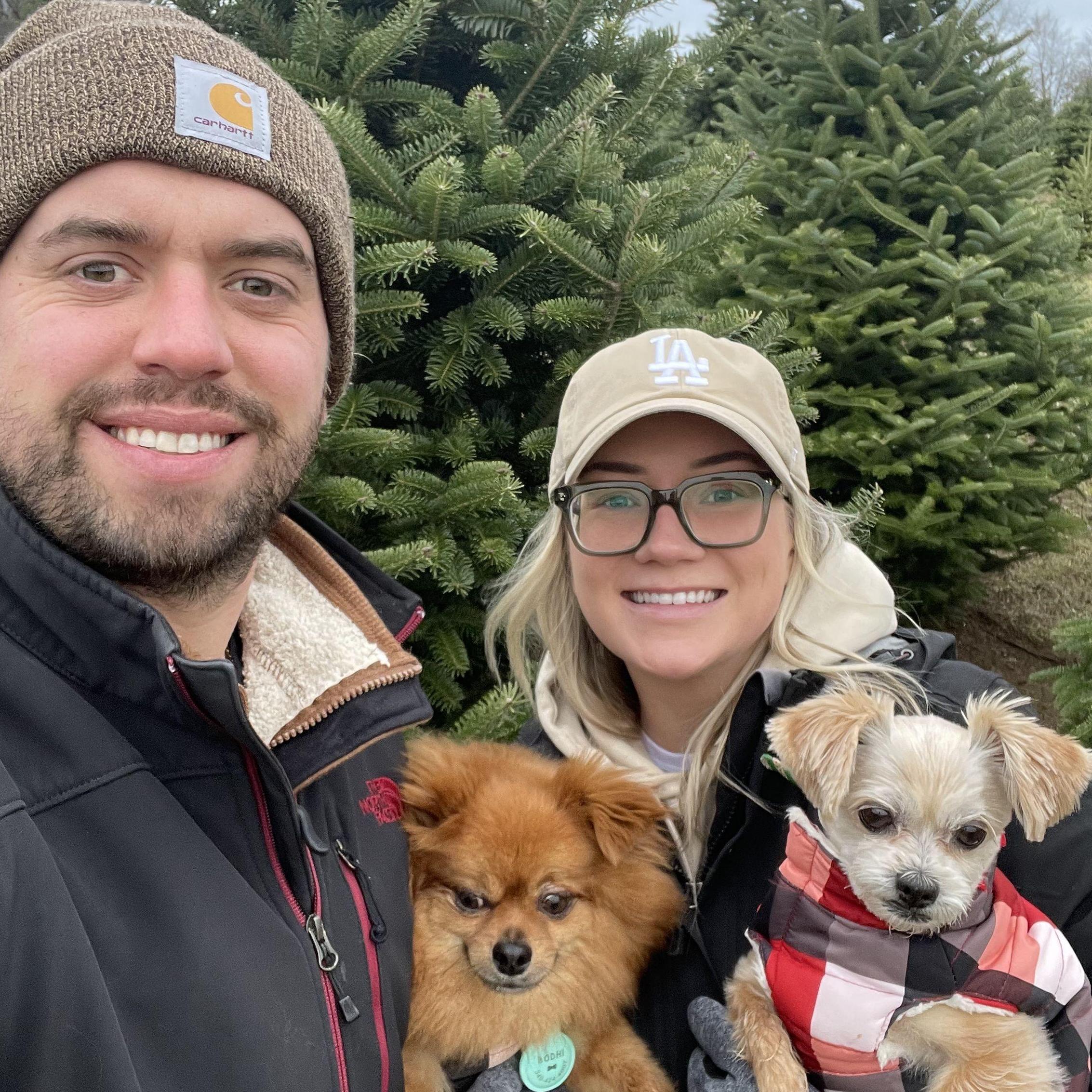 Cutting down our tree!