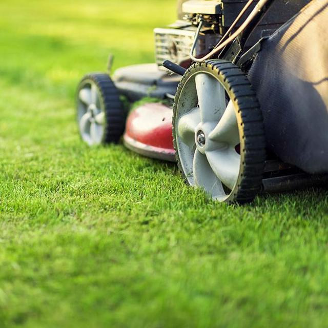 Lawn Mower Cash Fund