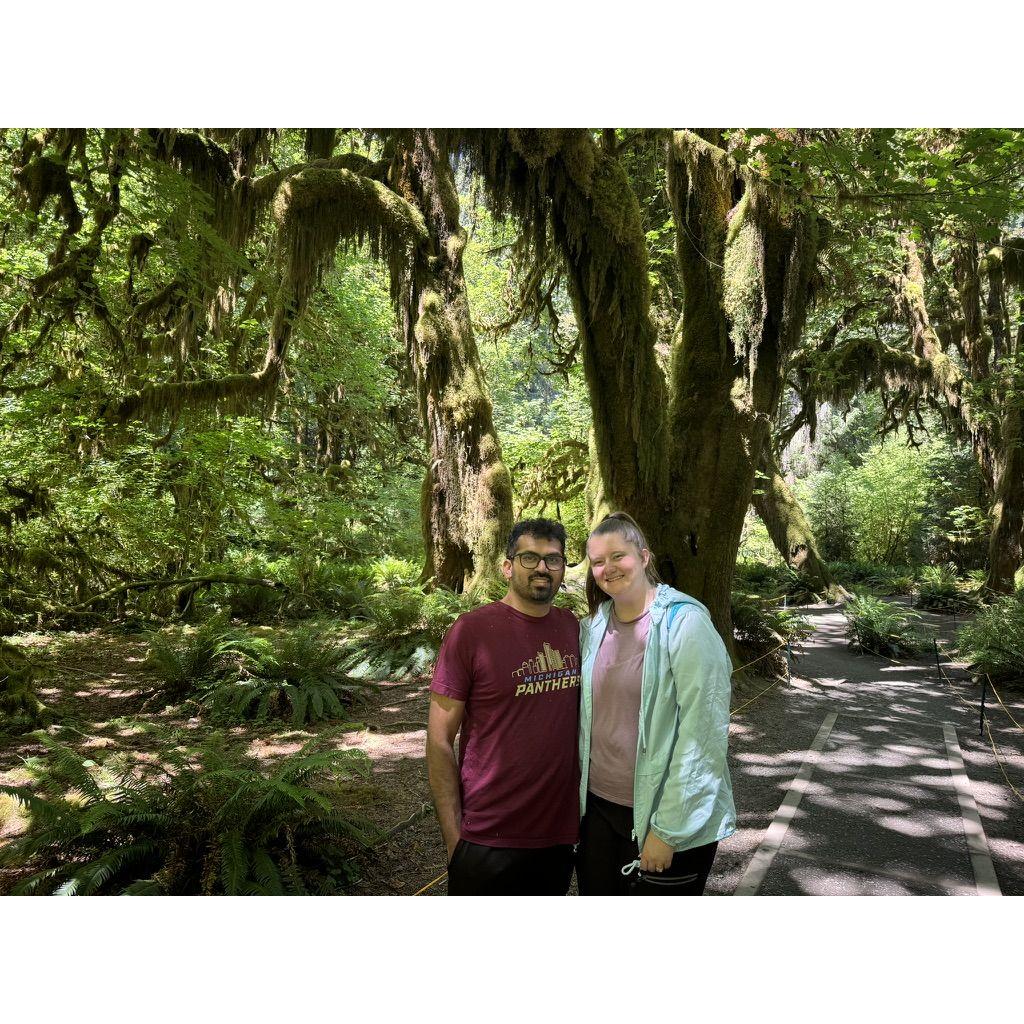 Exploring the Hoh National Rainforest!