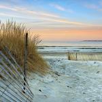 The Beach