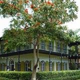 The Hemingway Home and Museum