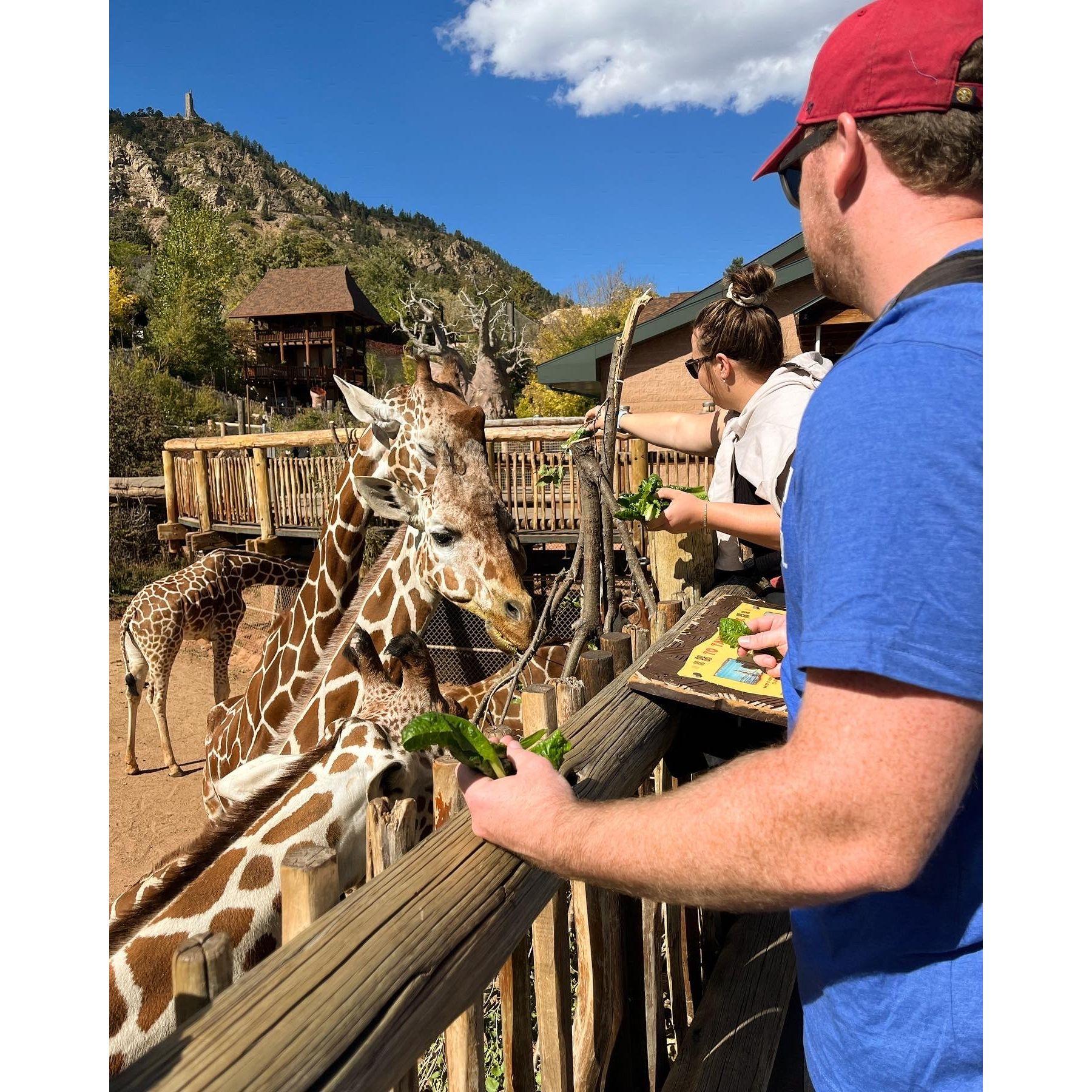 More travelling- Colorado Springs :)