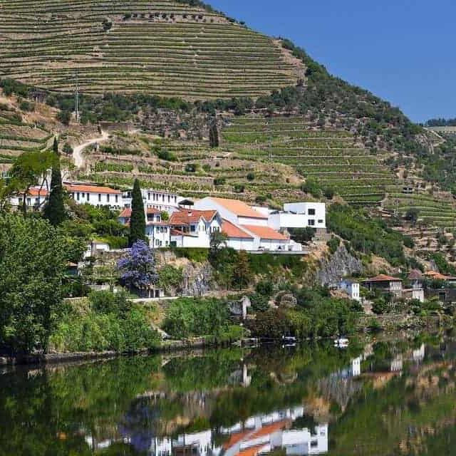 Exploring the Douro Valley