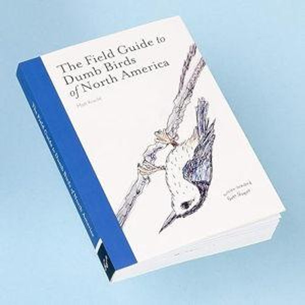 The Field Guide to Dumb Birds of North America (Paperback)