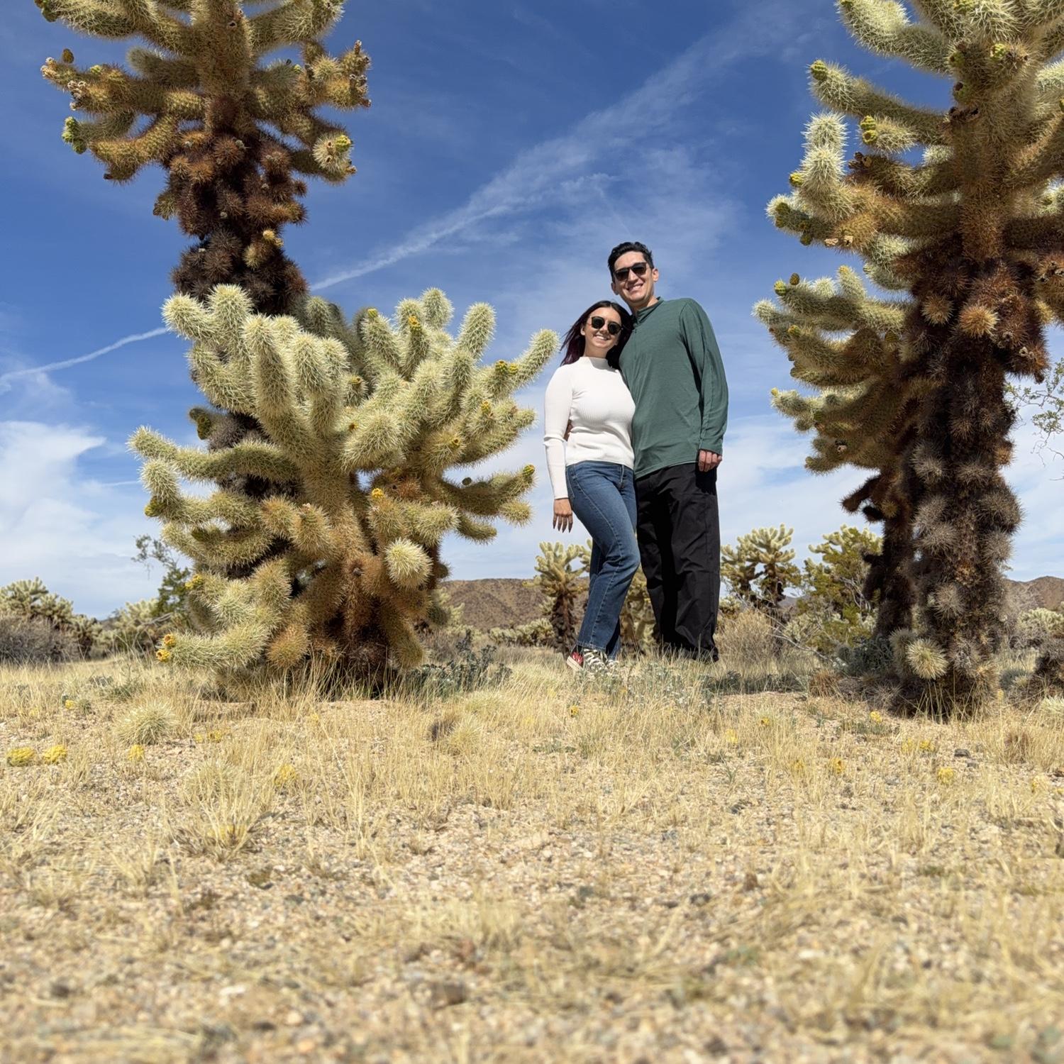 Joshua Tree, February 2026