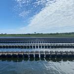 Westport Sea Farms