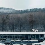 Phoenicia Diner