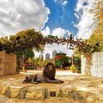 Fall Fest at Lincoln Park Zoo