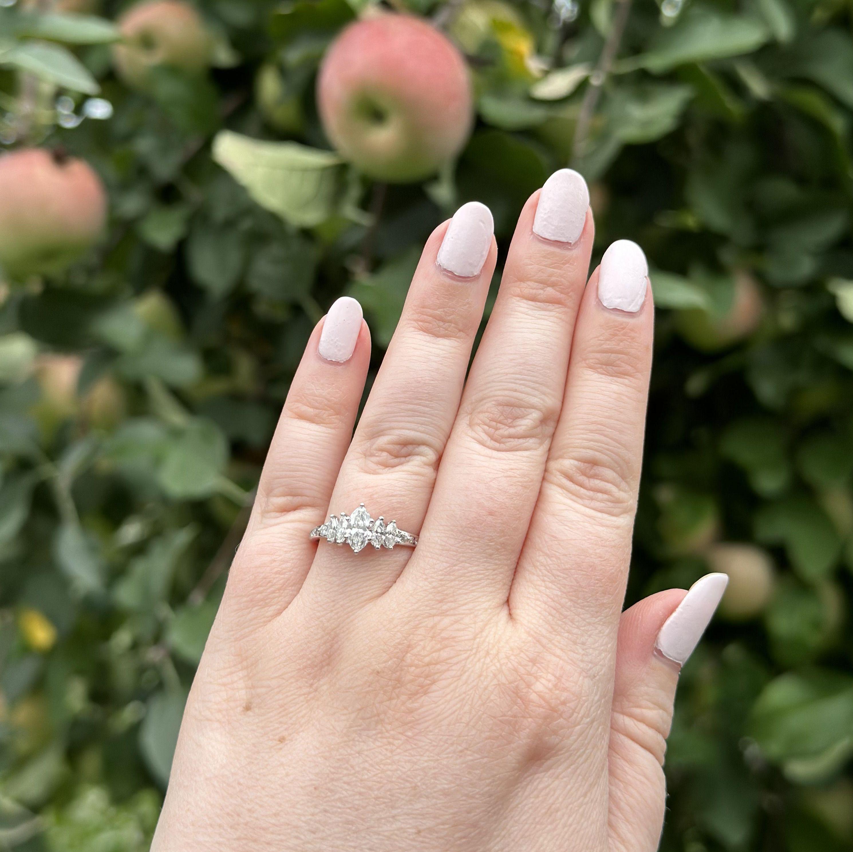Ashton's apple orchard proposal!