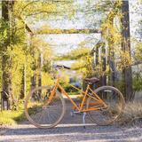 Bike Tours & Other Tours