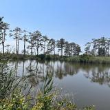 Mackay Island National Wildlife Refuge