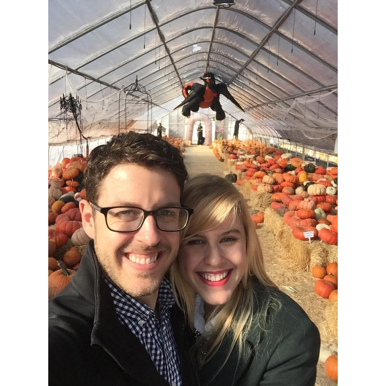 Our favorite pumpkin patch! Draper, Utah, October 2015