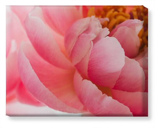 Photo Gallery Canvas Print