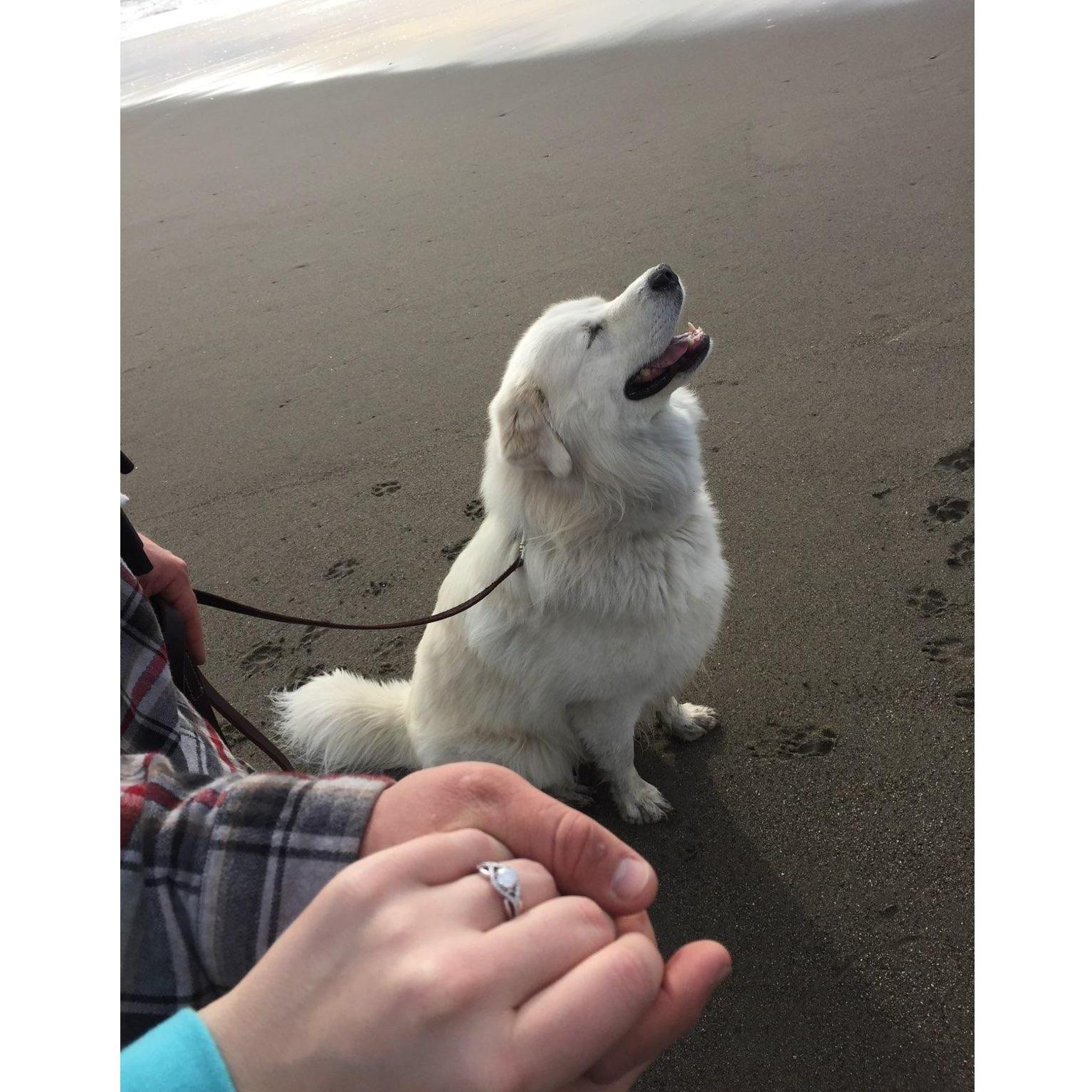 Willie is so pleased and happy that we are now engaged!