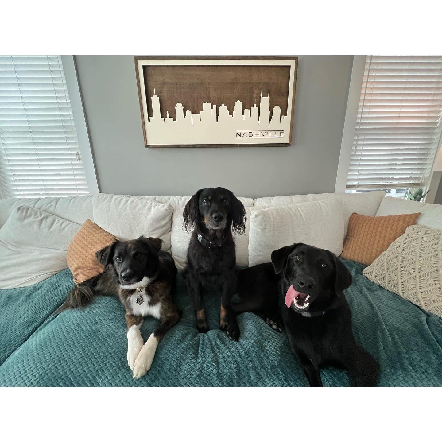 We bought our first house together in June 2022 and adopted Cooper later that year.