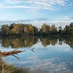 Kickerillo-Mischer Preserve