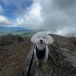 Shenandoah National Park