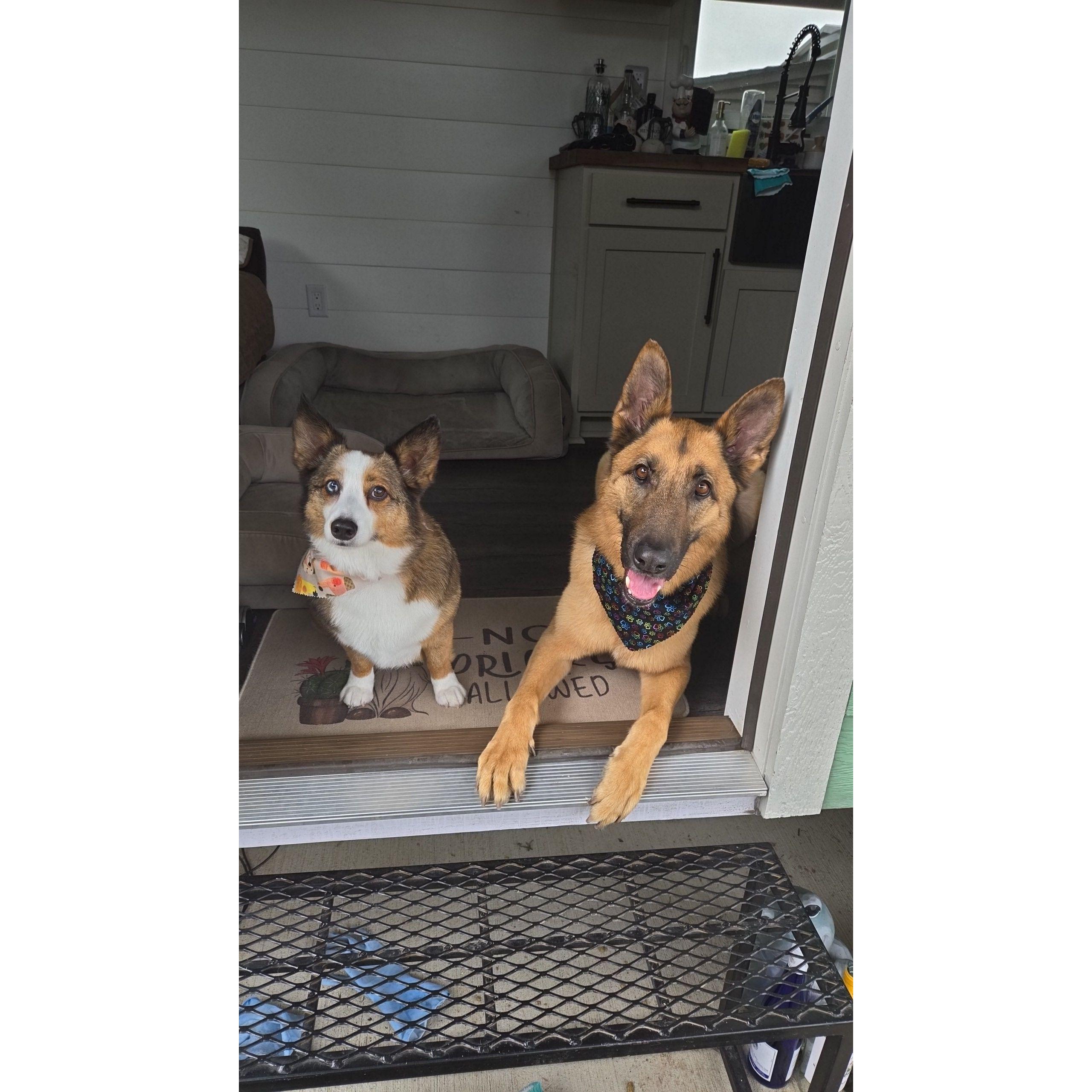 Our boys