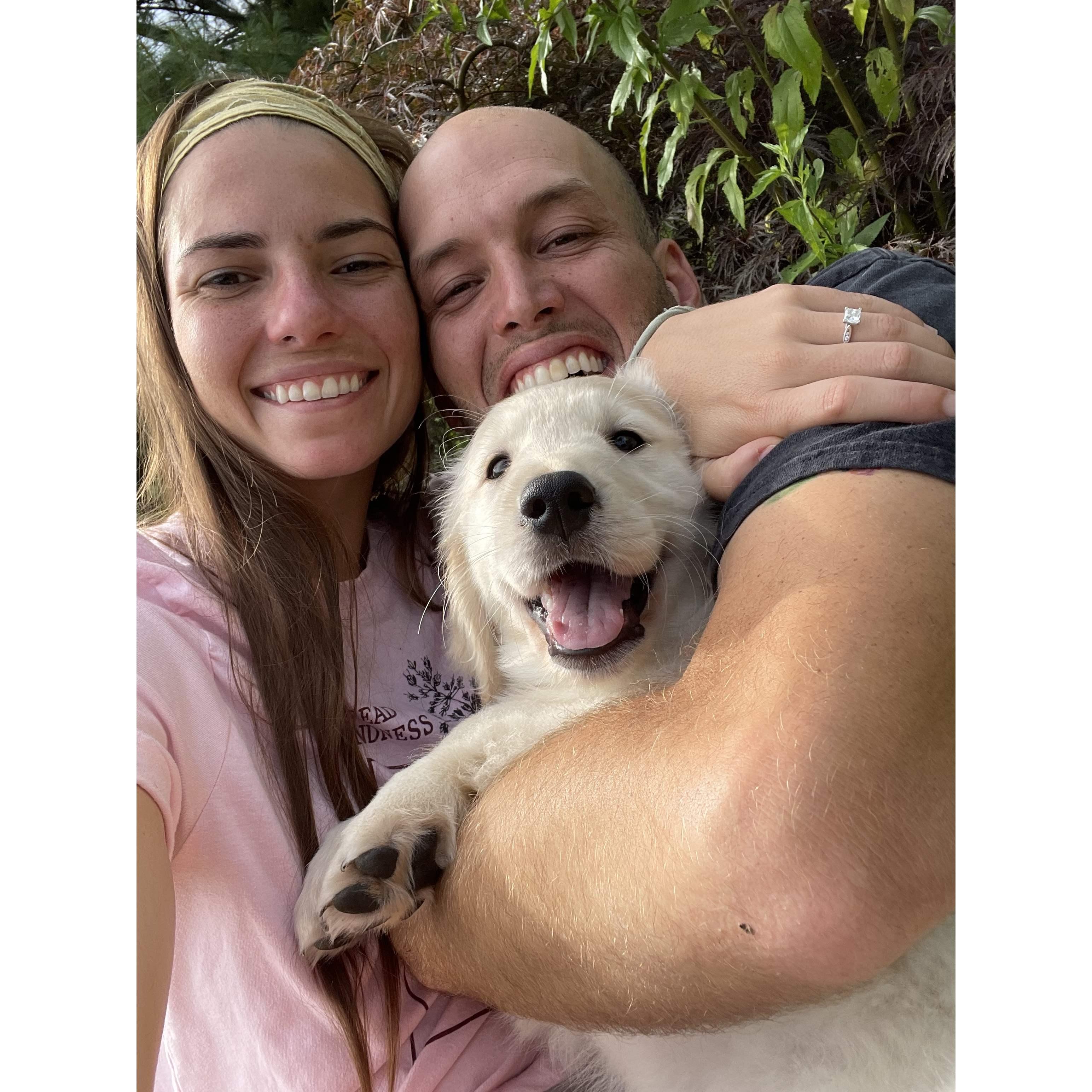 The day we brought home Daisy, 2021